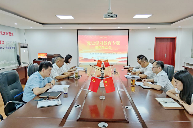 安建投资党委书记马斌赴联系点党支部加入党史学习教育专题组织生涯会