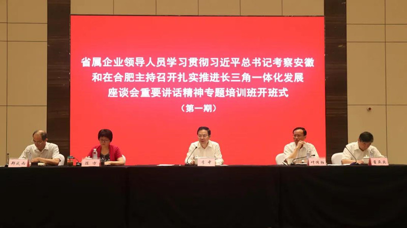 李中强调：认真学习宣传贯彻习近平总书记考察安徽主要讲话精神 全力在强化“两个坚持”实现“两个更大”中交出国资国企优异答卷