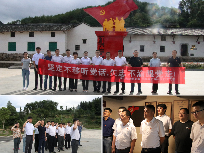 【学绚烂党史 展投资新貌】安建投资潜山项目联合支部开展红色教育主题党日活动