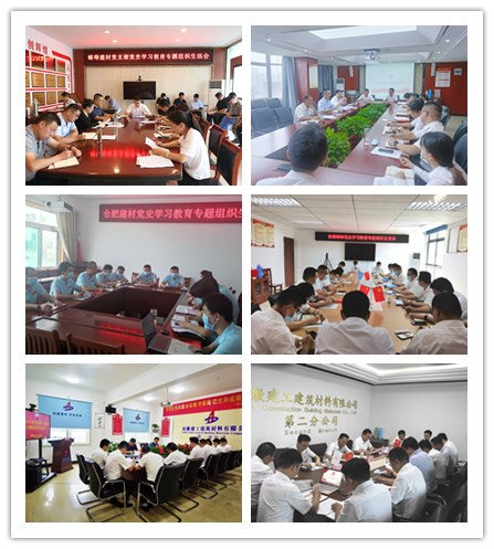 安建建材着力抓好“三个要害环节” 扎实开展党史学习教育专题组织生涯会