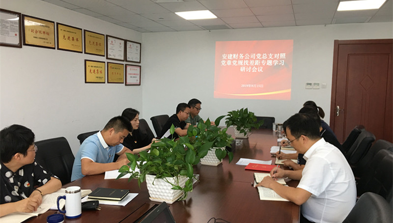 安建财务公司党总支召开比照党章党规找差别专题学习钻研聚会