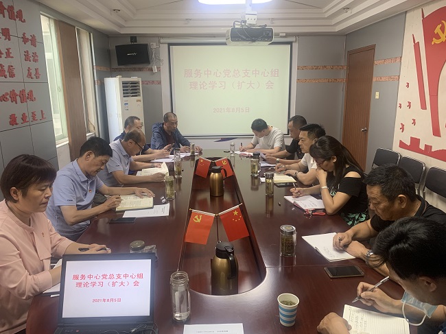 服务中心党总支召开中心组理论学习（扩大）会