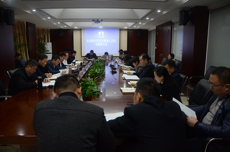 安建建材召开党风廉政建设和反糜烂事情聚会和集中整治形式主义权要主义专项行动推进会暨提防化解重大风险事情聚会