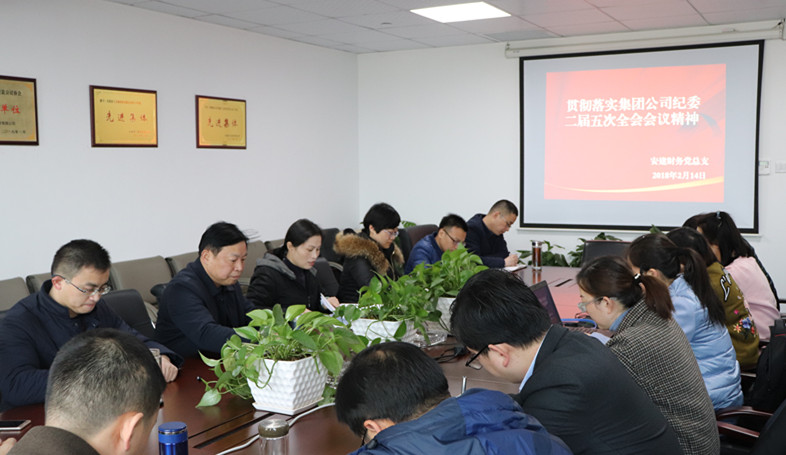 安建财务召开专题聚会学习宣传贯彻集团纪委二届五次全会精神