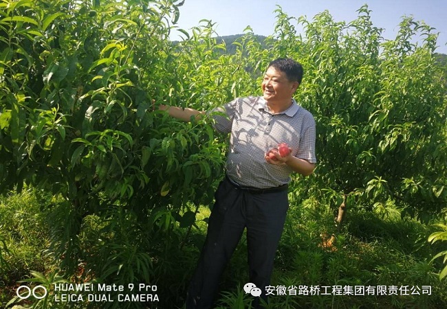 路桥集团开展贫困村鲜桃采购专项消耗扶贫活动