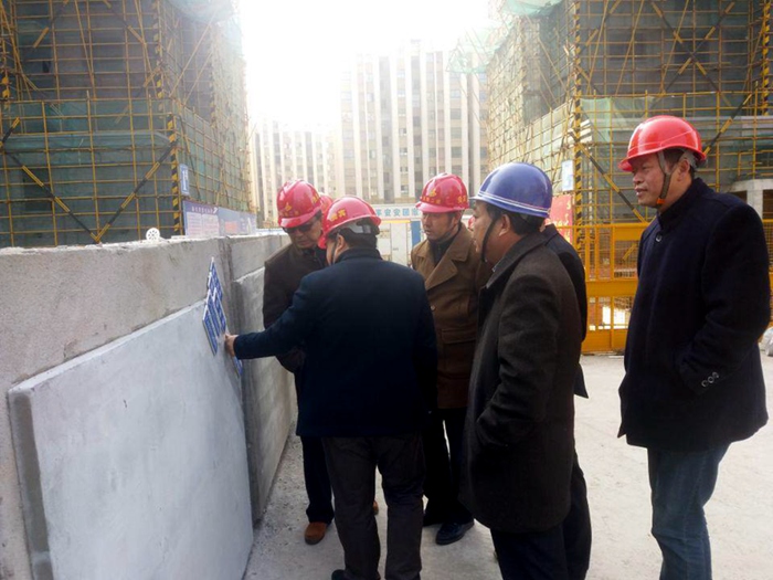 安庆市节能专项检查组莅临安建地产·龙溪观邸项目开展节能专项检查事情