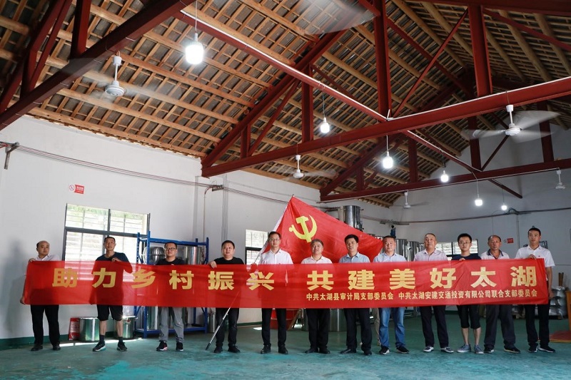 【学党史 见行动】安建投资太湖支部联合太湖县审计局配合开展墟落振兴主题党日活动
