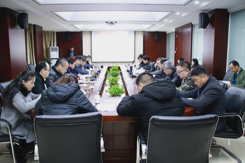安建建材党委召开党支部书记抓党365英国上市作述职评议聚会