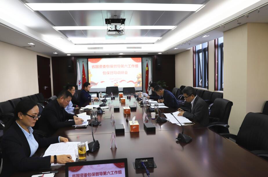 省国资委包保督导第六组第三次赴365英国上市集团督导调研