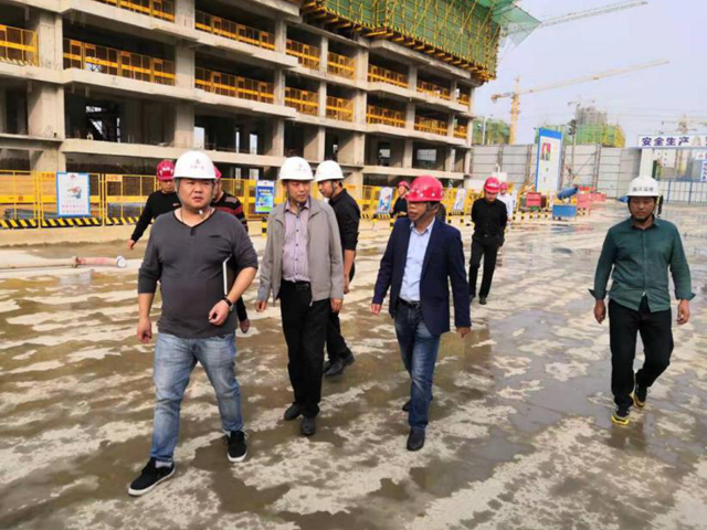 省级专家组莅临安徽一建凤凰国际城项目检查指导事情