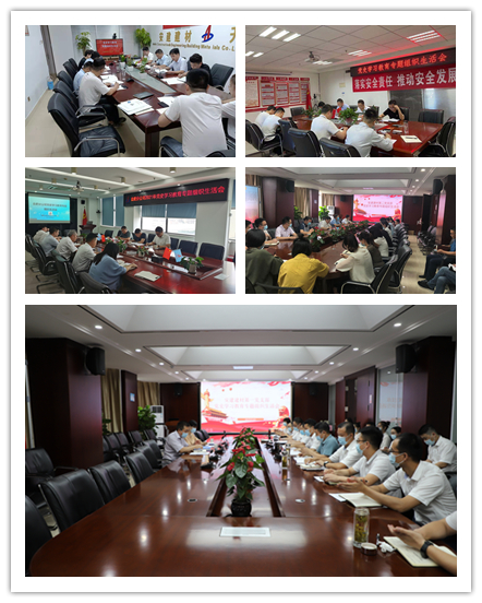 安建建材着力抓好“三个要害环节” 扎实开展党史学习教育专题组织生涯会