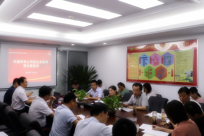 安建财务公司召开专题警示教育民主生涯会征求意见座谈会