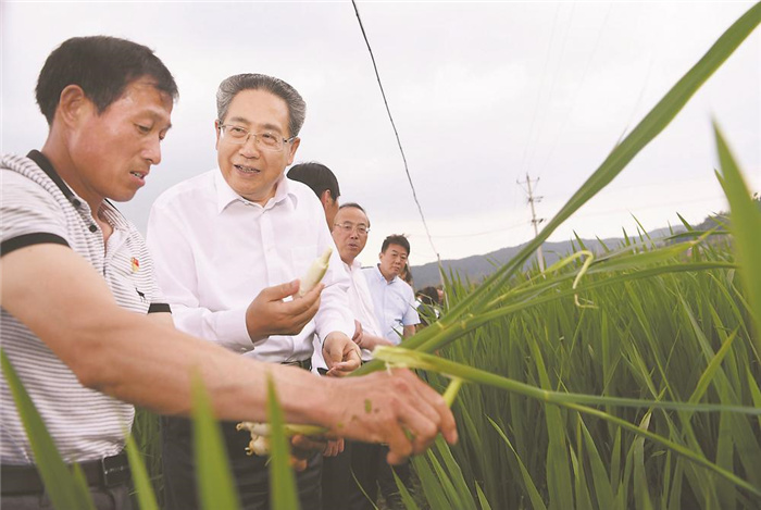 李锦斌在霍山岳西调研时强调  深入开展党史学习教育“我为群众办实事”实践活动 以学党史抓整纠正作风现实效果庆祝建党100周年&#8203;