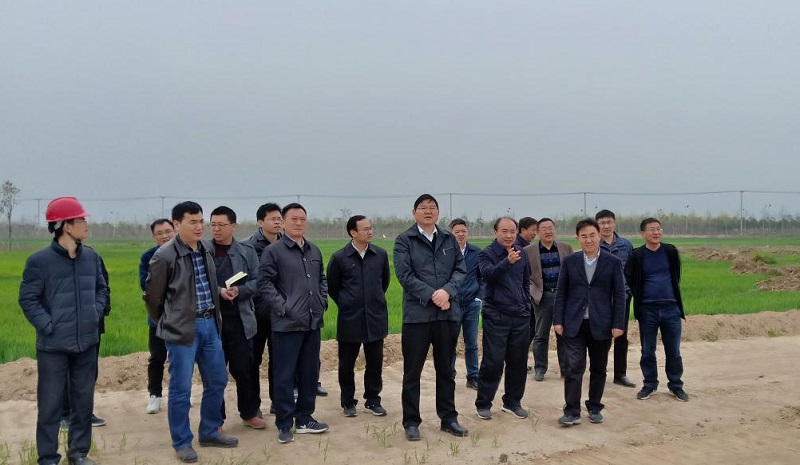 淮北市市长戴启远调研中湖PPP项目后续情形整治事情