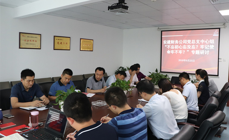 安建财务公司召开“讲严立”专题警示教育学习钻研会