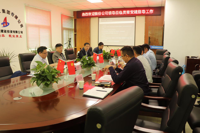 股份公司总司理许克顺赴安建投资灵璧项目调研指导事情