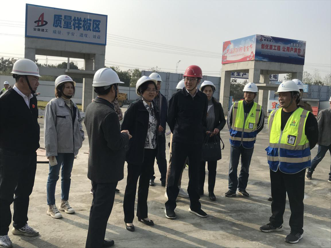 淮南市副市长陆晞到淮南卫生学校山南职教园区新校区项目视察指导事情