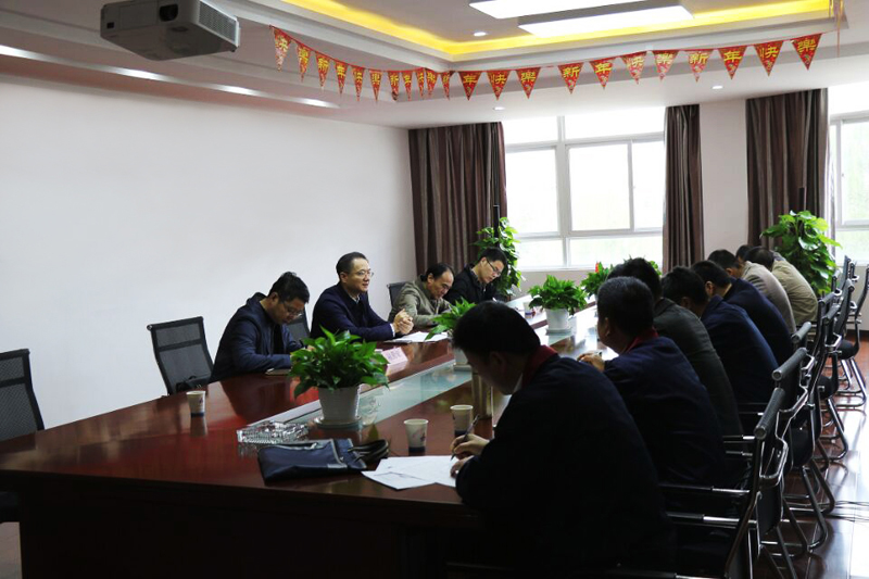集团公司总司理刘家静赴漂亮花园工业化项目调研