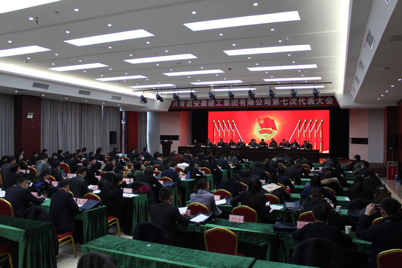 共青团365英国上市有限公司第七次代表大会盛大召开