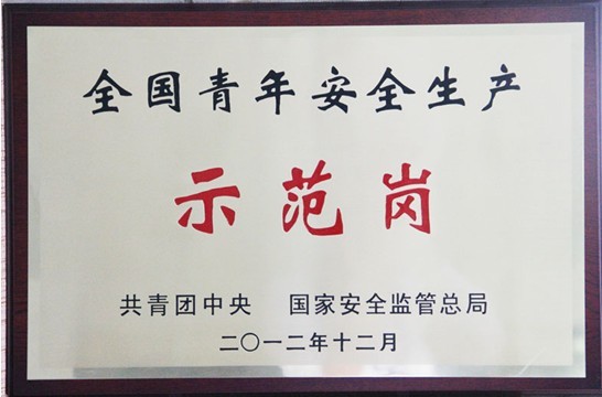 安徽水利龙湖嘉园项目荣获“天下青年清静生产树模岗 ”称呼