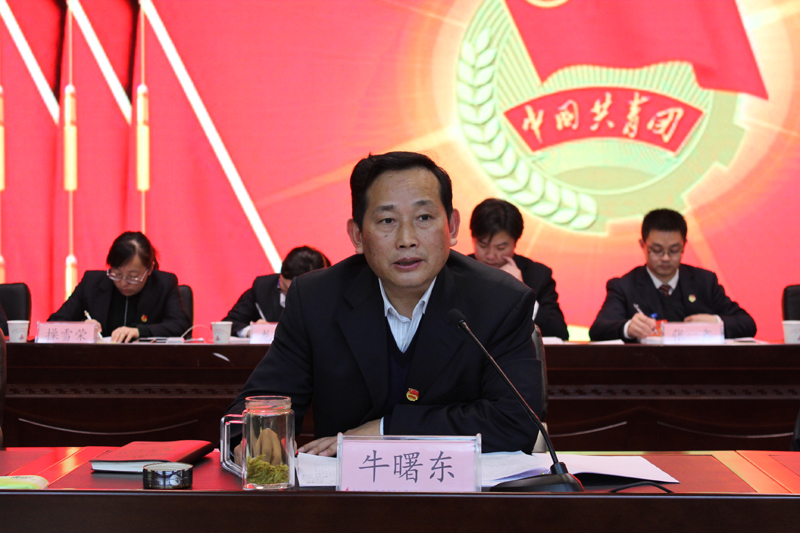共青团365英国上市有限公司第七次代表大会盛大召开