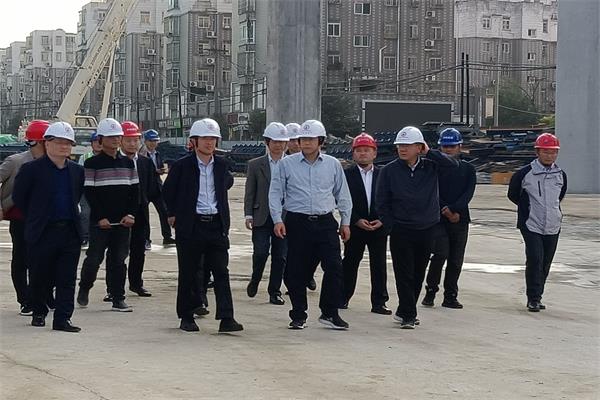 合肥市委常委、常务副市长葛斌一行赴安徽路港文忠路项目调研