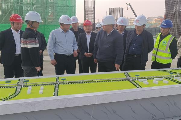 合肥市委常委、常务副市长葛斌一行赴安徽路港文忠路项目调研