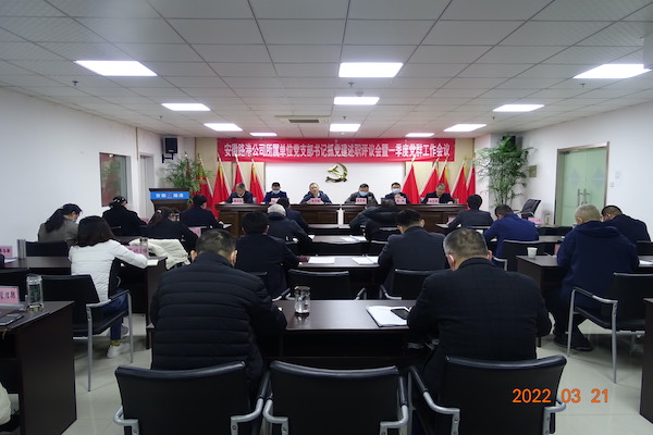 安徽路港公司召开所属单位党支部书记抓党建述职评议会暨一季度党群事情会