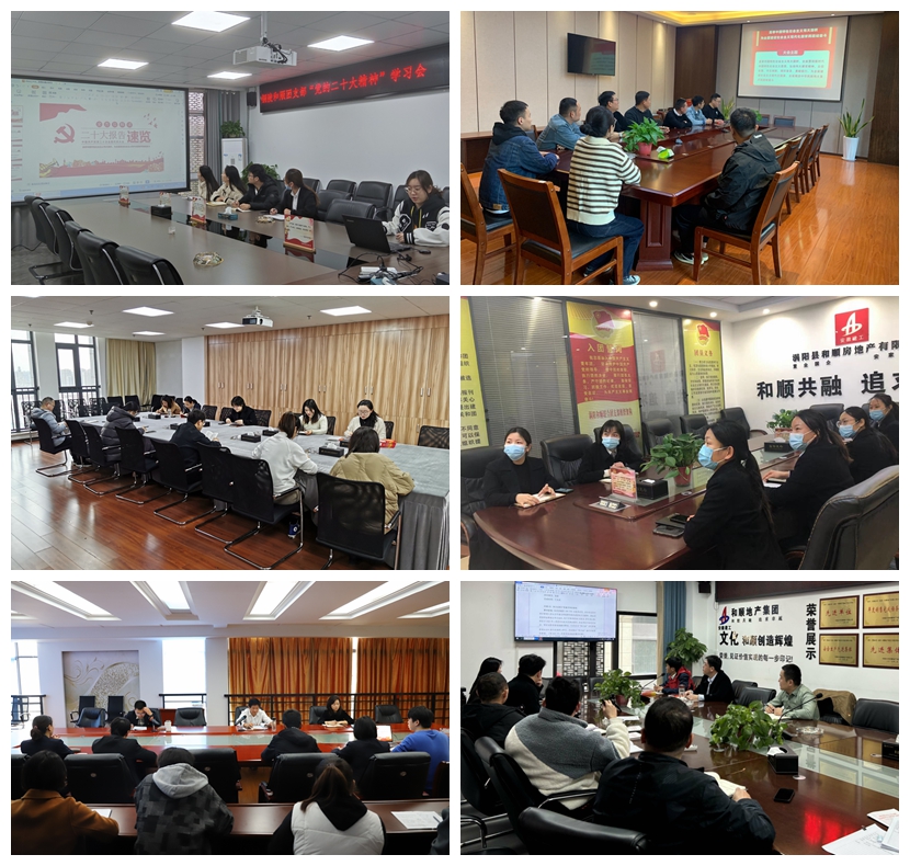 学习二十大 青春展色泽:温顺地产各级团组织深入学习宣传贯彻党的二十大精神