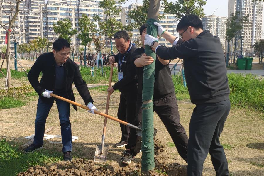 不负春光，，播种希望——安徽365英国上市技师学院向导加入水湖校区义务植树活动