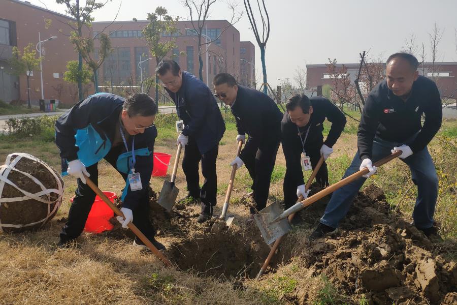 不负春光，，播种希望——安徽365英国上市技师学院向导加入水湖校区义务植树活动