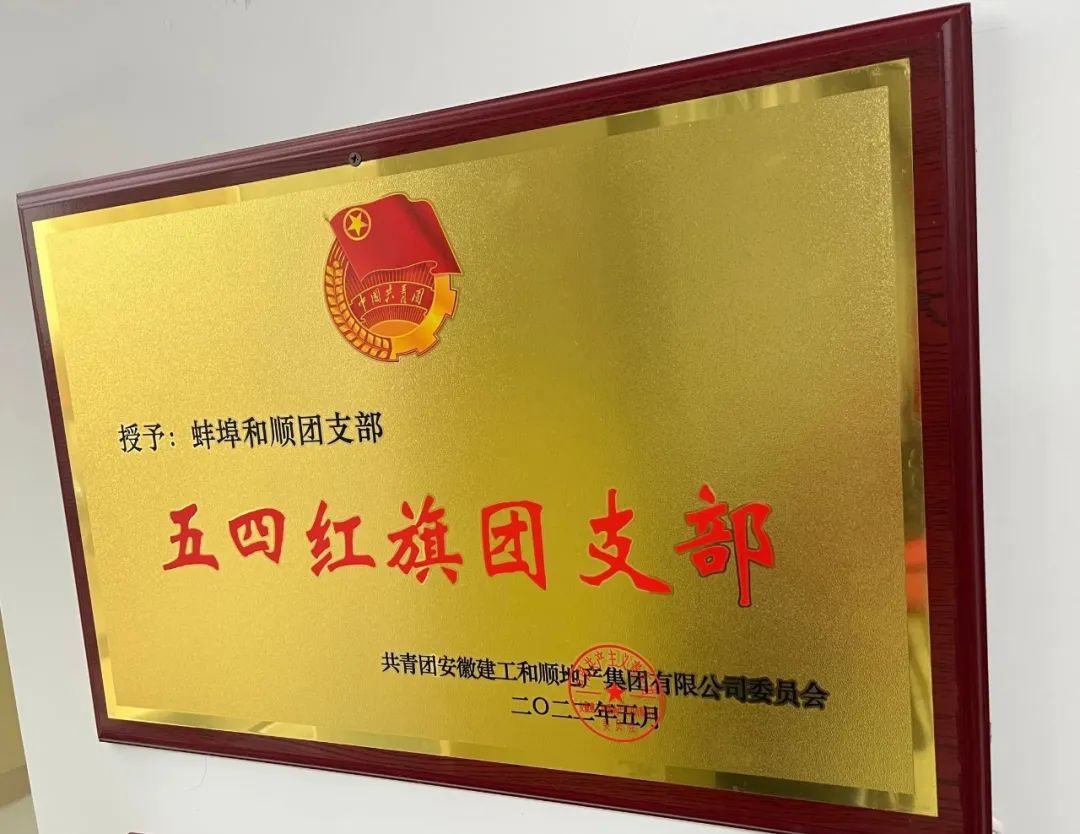 青春正其时 奋勇争领先：省属企业五四红旗团支部风范展——温顺地产安徽清越团支部