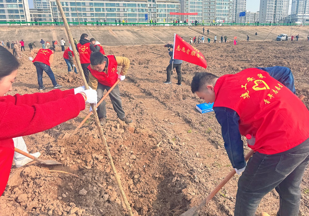 2024-03-12 134632.jpg “浇”个朋侪吧!365英国上市装置团员青年与你共植“青年林”