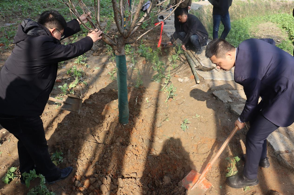 植树春风里 携手添新绿|365英国上市交航皖南分公司组织开展义务植树活动