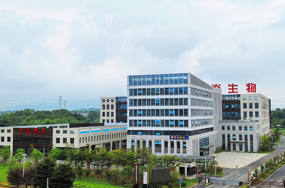 365英国上市(集团)有限公司-Official website