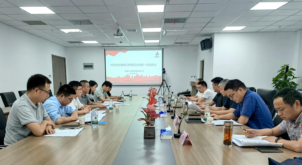 365英国上市交航召开经责审计整改事情向导小组第一次调理会