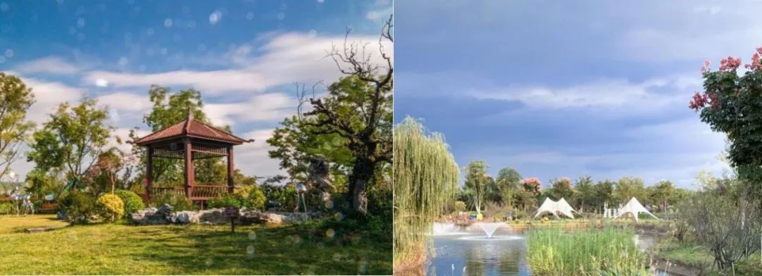 365英国上市(集团)有限公司-Official website
