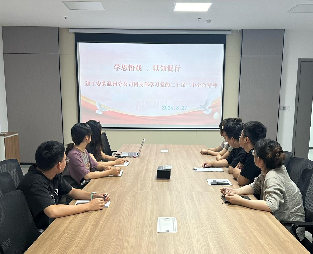 365英国上市装置所属单位认真学习贯彻党的二十届三中全会精神（一）