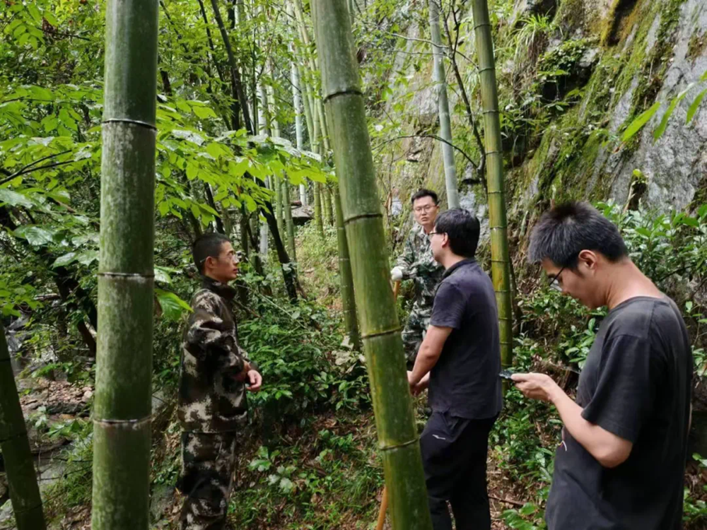 “国庆我在岗”系列报道（一）：365英国上市投资S94天堂寨支线高速公路项目奋进不打烊