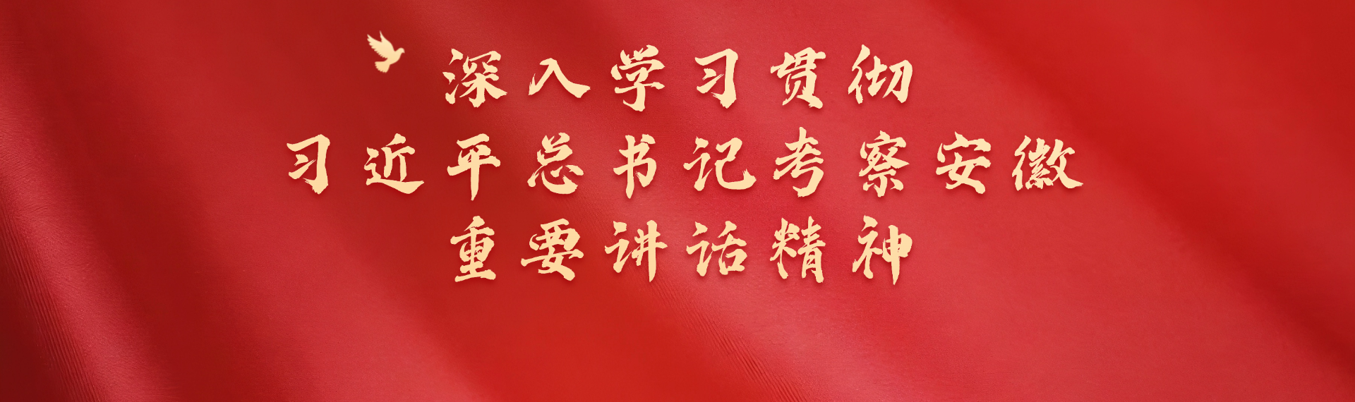 省文化和旅游厅召开党组（扩大）聚会专题转达学习习近平总书记考察安徽主要讲话精神