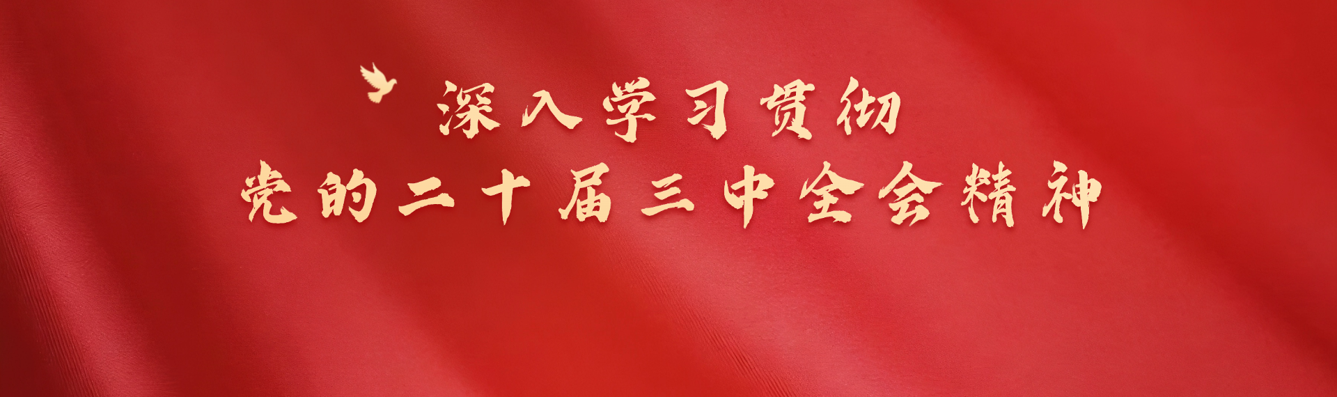李希主持召开中央纪委常委会聚会 转达学习贯彻党的二十届三中全会精神