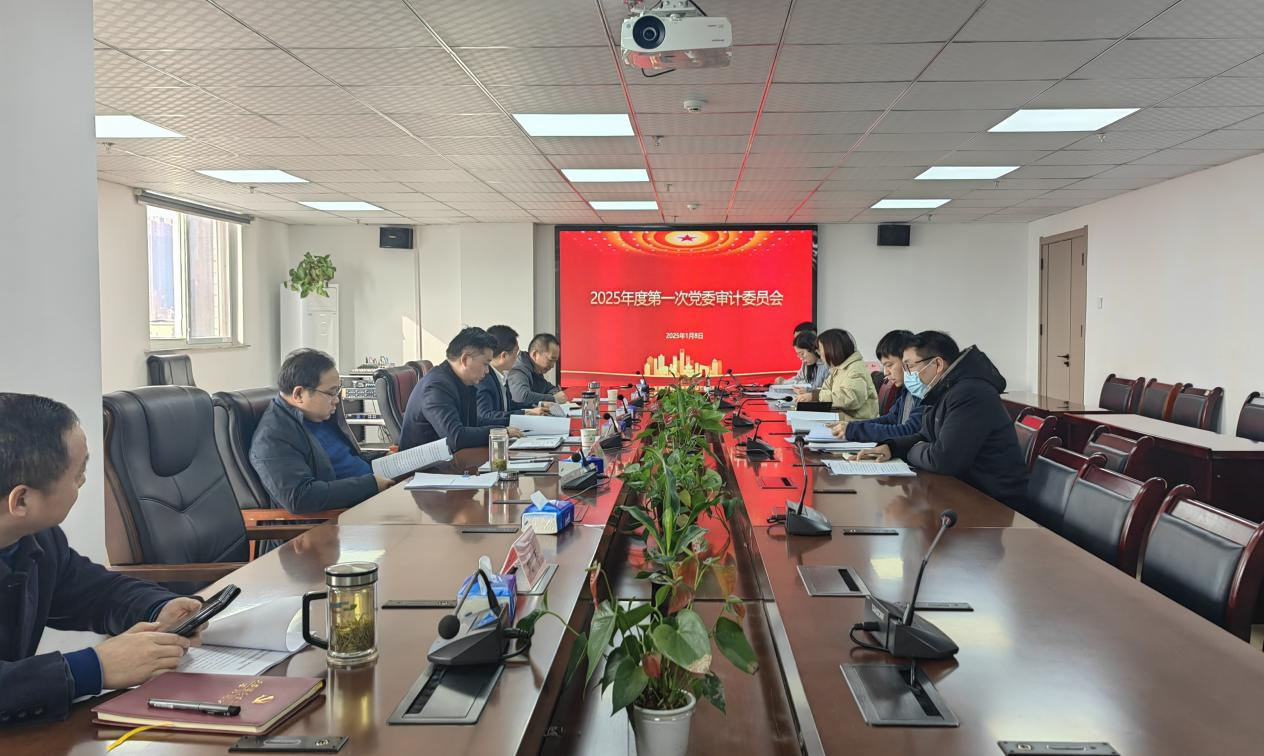 365英国上市交航召开2025年度第一次党委审计委员会聚会