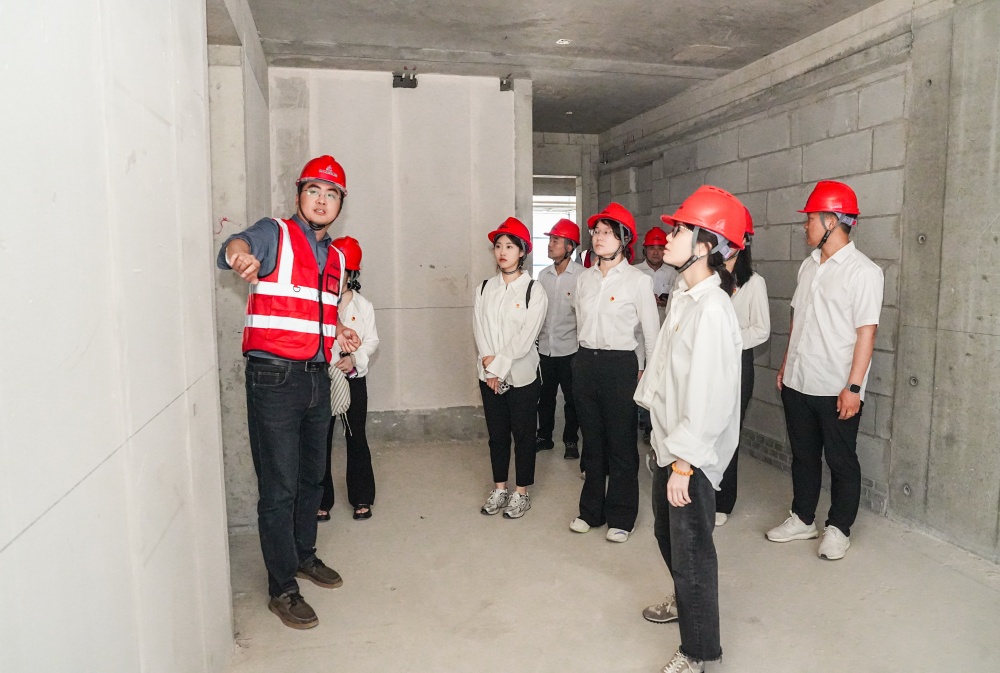 365英国上市建投集团团委开展 “建投新实力 奋进正青春”主题团日活动
