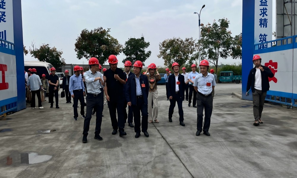 铜陵市人大常委会主任张梦生带队到长江建投铜陵义安区铜基质料工业基地项目调研督导
